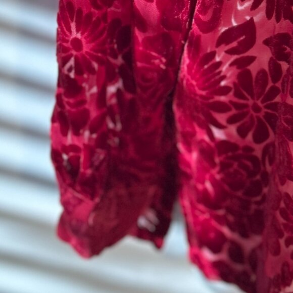 C.L.O.T.H.E.S. SZXL Red Burnout Velvet Button Down Fairy Boho Whimsigoth Romance - Picture 4 of 8